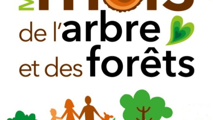 DISTRIBUTION D'ARBRES