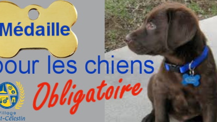 LICENSE DE CHIEN