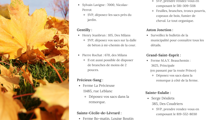 COLLECTE DES FEUILLES D'AUTOMNE : POINTS DE DÉPOT
