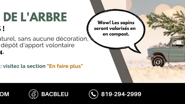 COLLECTE DES SAPINS DE NOËL