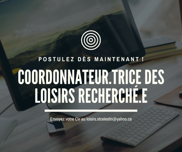 OFFRE D'EMPLOI - COORDONNATEUR EN LOISIRS