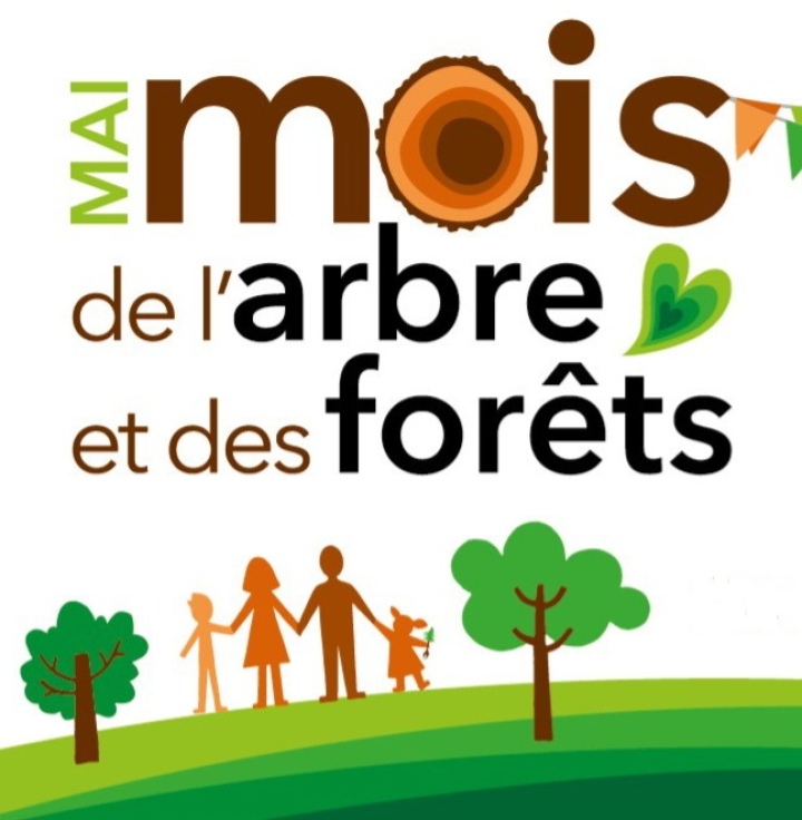 DISTRIBUTION D'ARBRES
