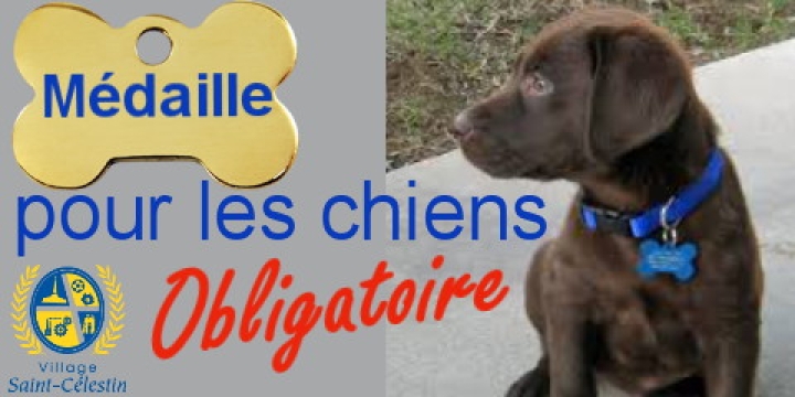 LICENSE DE CHIEN