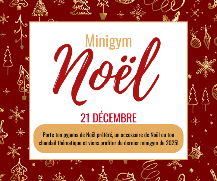 MINIGYM NOËL